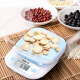 Food Scale